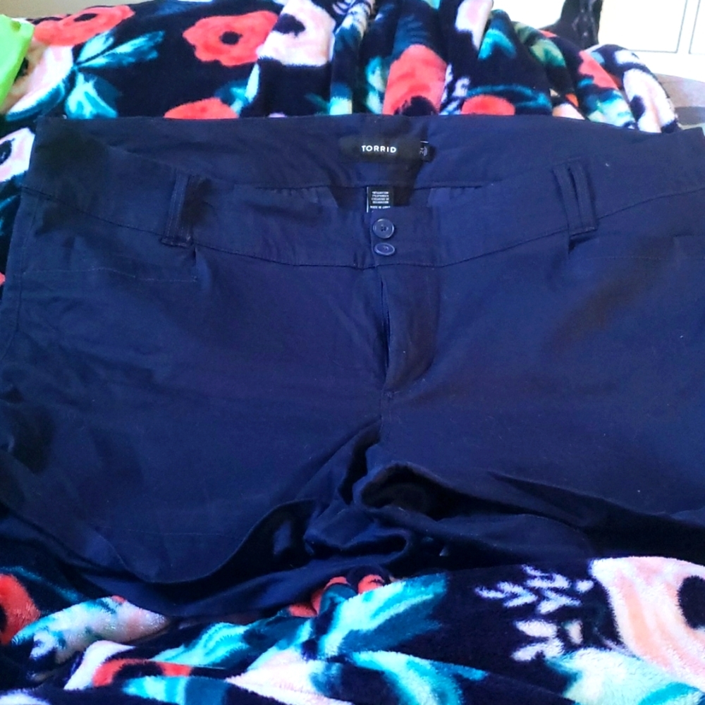 Torrid, Navy Blue Shorts, 24
